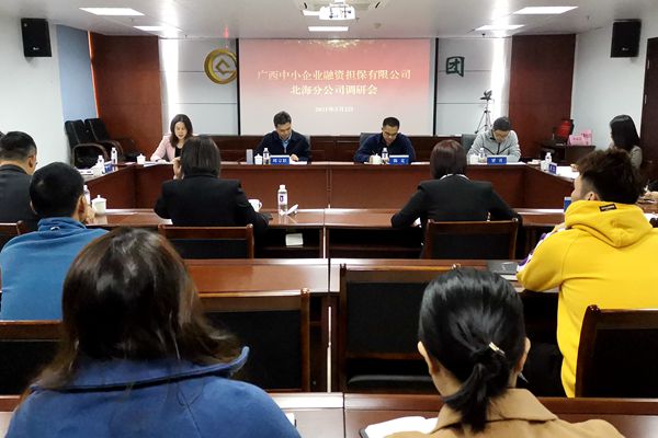 中小擔(dān)保領(lǐng)導(dǎo)赴北海、防城港調(diào)研 
